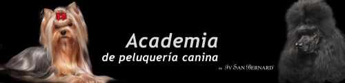 Academia de peluquería canina Maskokotas Valencia