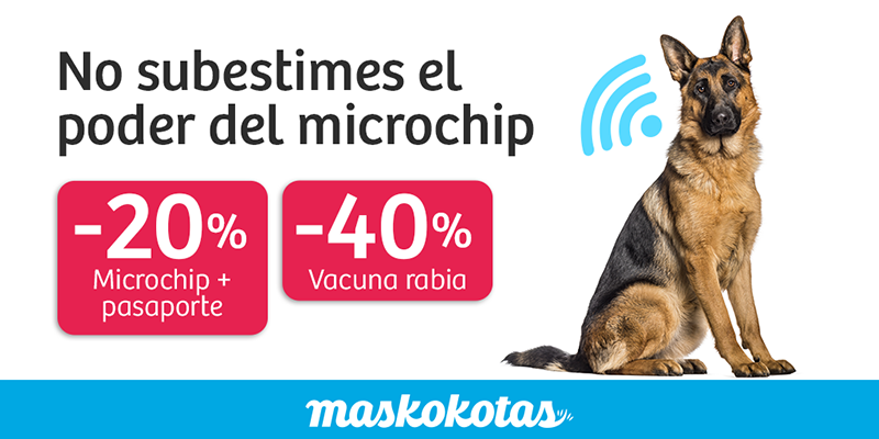microchip perro