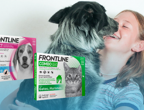 Protege a tu mascota con Frontline